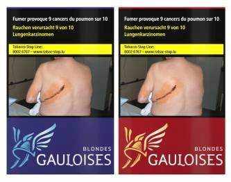 Gauloises20