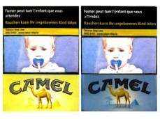 Camel30